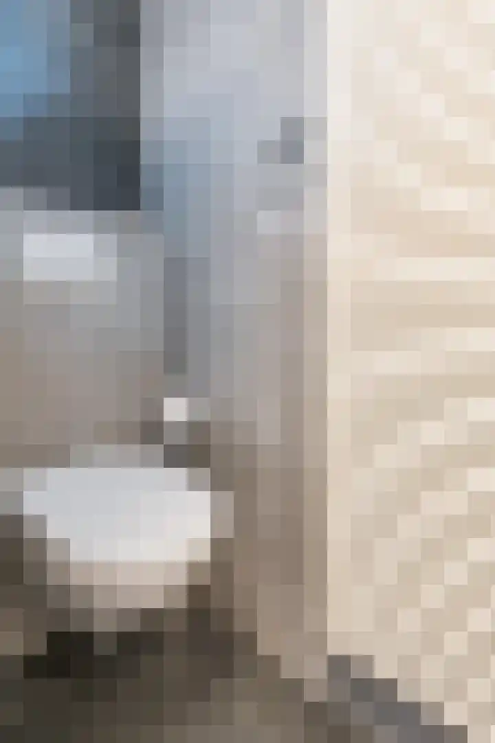 Sirius 4 Hoogeveen thumbnail 33