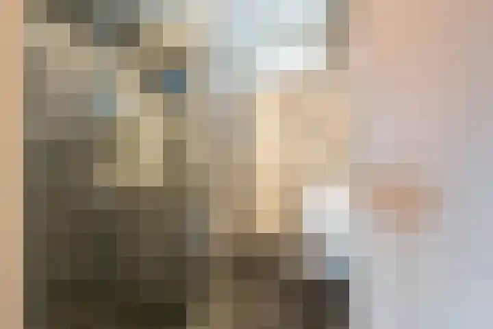 Sirius 4 Hoogeveen thumbnail 4