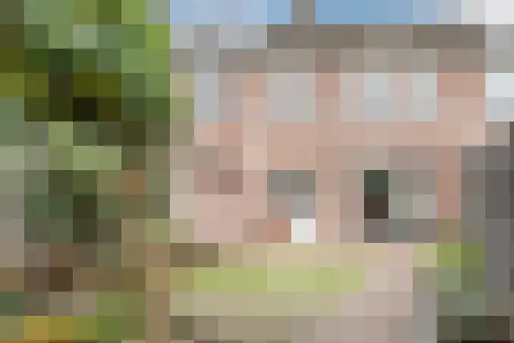 Sirius 4 Hoogeveen thumbnail 40