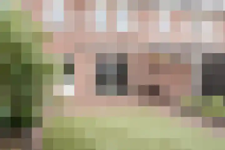 Sirius 4 Hoogeveen thumbnail 41