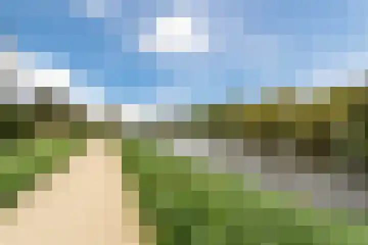 Sirius 4 Hoogeveen thumbnail 48