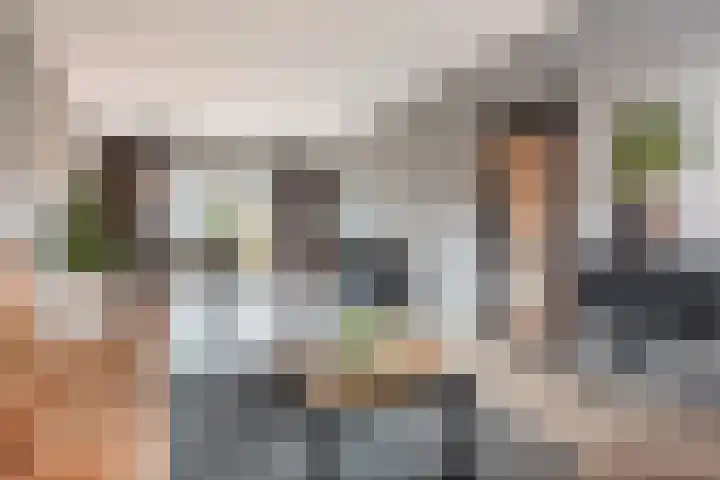 Sirius 4 Hoogeveen thumbnail 9