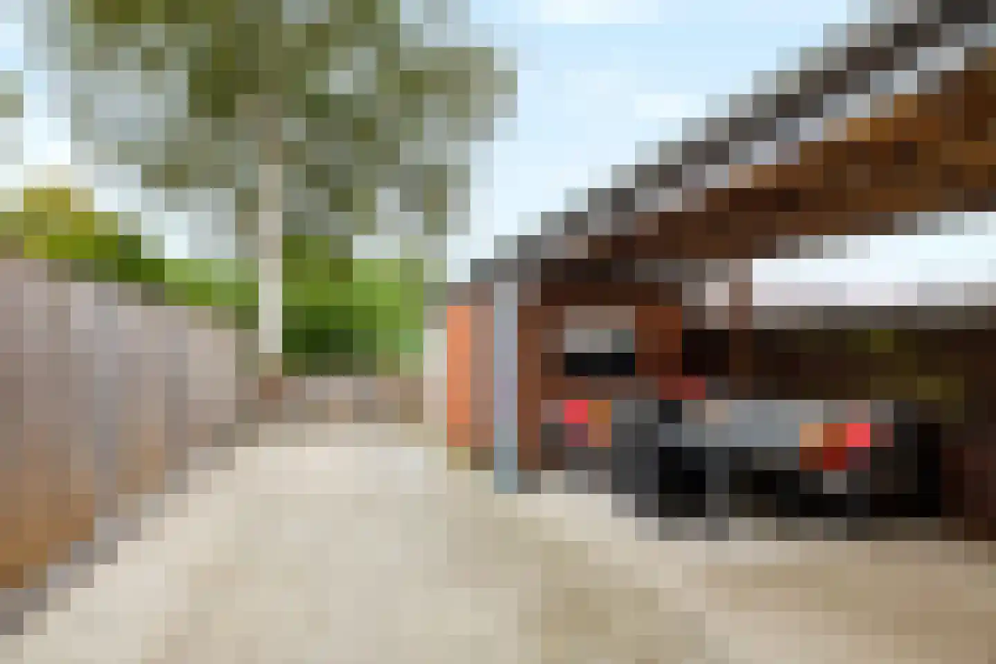 Sirius 45 Hoogeveen thumbnail 43