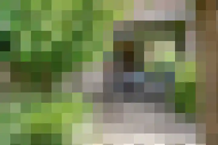 Sirius 48 Oosterhout thumbnail 37