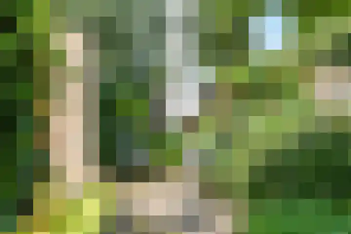 Sirius 48 Oosterhout thumbnail 39