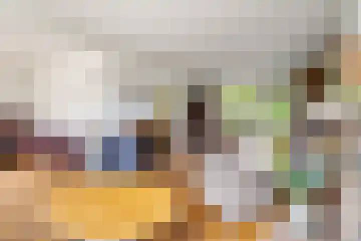 Sirius 48 Oosterhout thumbnail 4