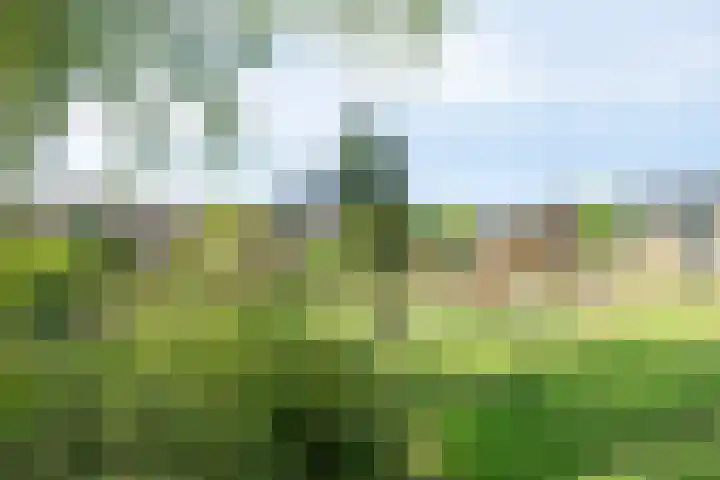 Sirius 48 Oosterhout thumbnail 48