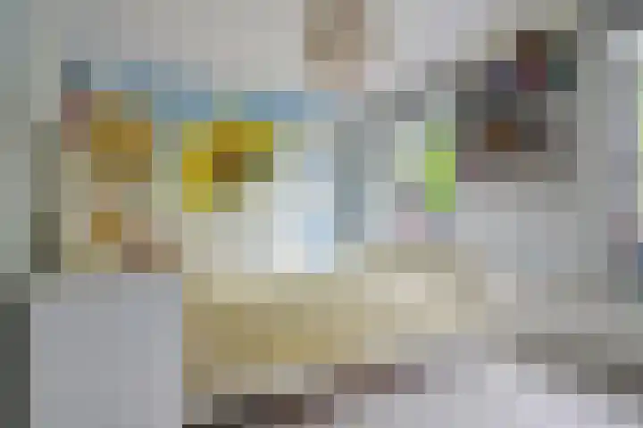 Sirius 88 A Oosterhout thumbnail 20