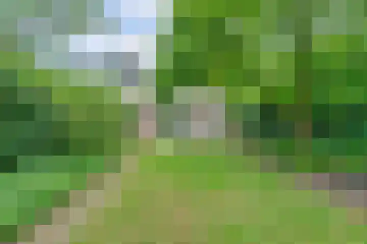 Sirius 88 A Oosterhout thumbnail 38