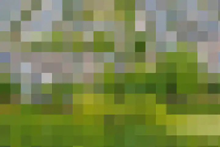 Sirius 88 A Oosterhout thumbnail 42