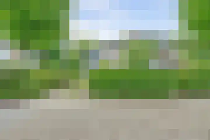 Sirius 88 A Oosterhout thumbnail 7