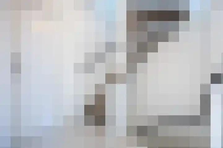 Sirius 92 Oosterhout thumbnail 18