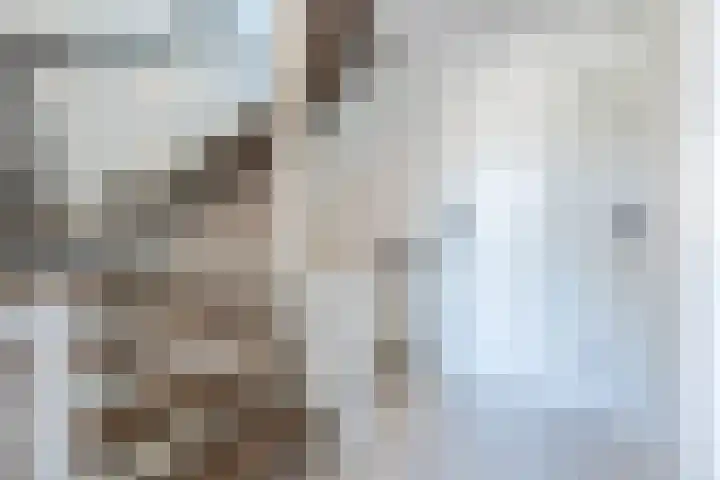 Sirius 92 Oosterhout thumbnail 27