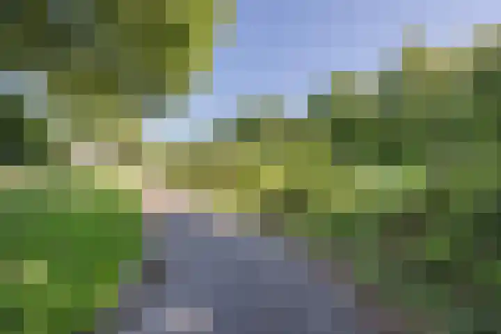 Sirius 92 Oosterhout thumbnail 39
