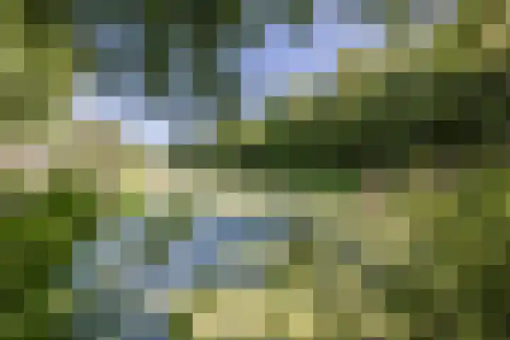 Sirius 92 Oosterhout thumbnail 40