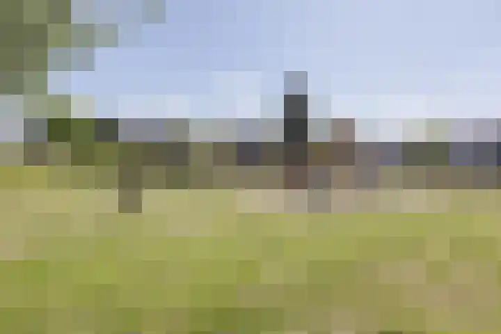 Sirius 92 Oosterhout thumbnail 41
