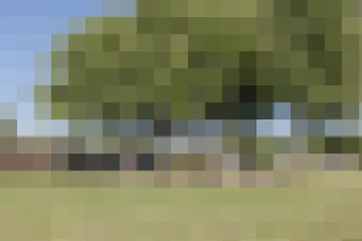 Sirius 92 Oosterhout thumbnail 42