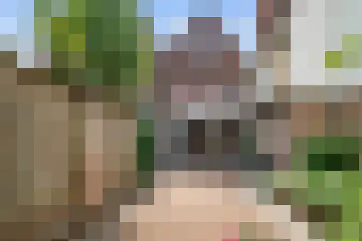 Siriusdreef 9 Arnhem thumbnail 30