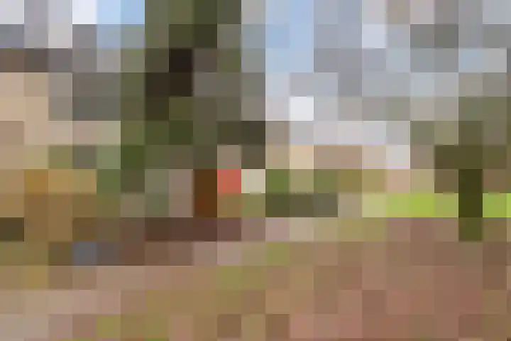 Siriusdreef 9 Arnhem thumbnail 4