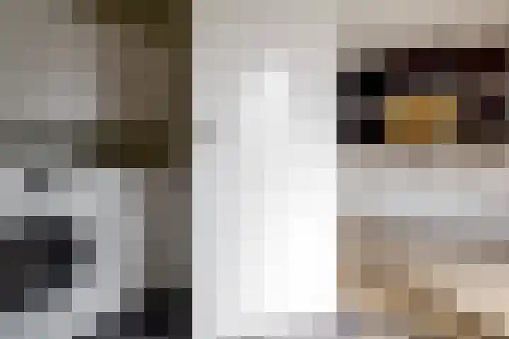Siriusstraat 12 Borne thumbnail 11