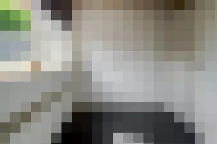 Siriusstraat 12 Borne thumbnail 12