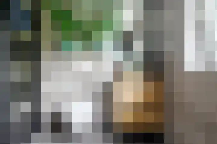 Siriusstraat 12 Borne thumbnail 16