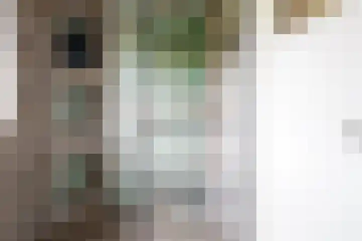 Siriusstraat 12 Borne thumbnail 17