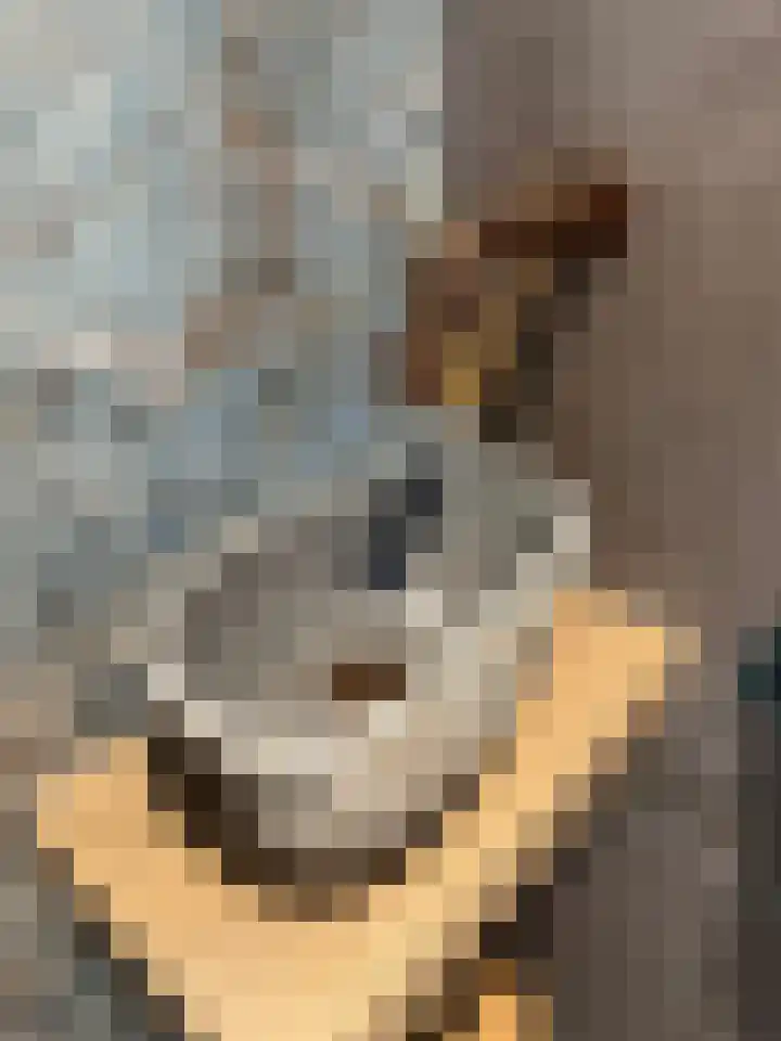 Siriusstraat 12 Borne thumbnail 18