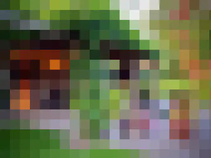 Siriusstraat 12 Borne thumbnail 26