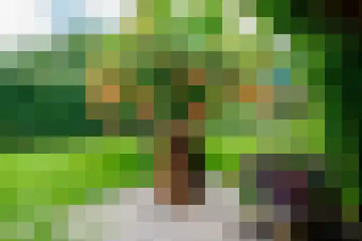 Siriusstraat 12 Borne thumbnail 27