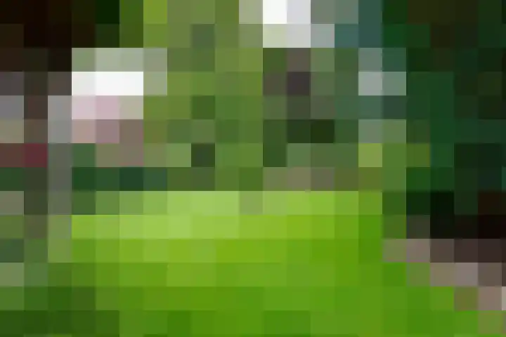 Siriusstraat 12 Borne thumbnail 28