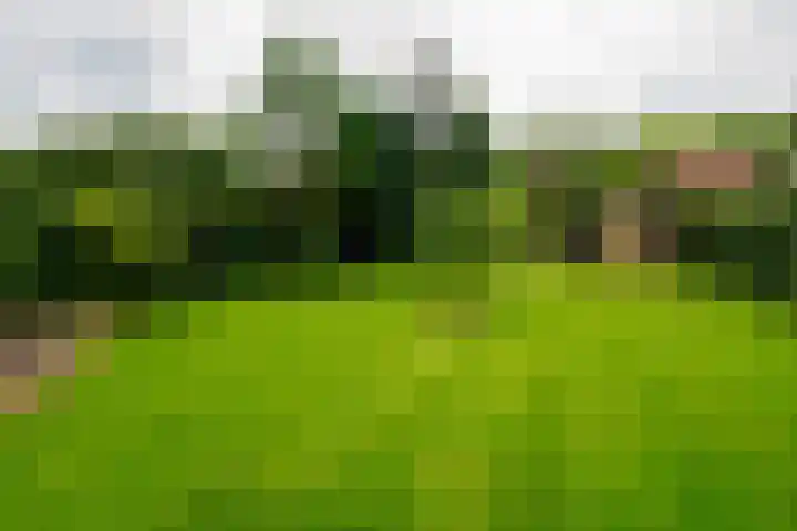 Siriusstraat 12 Borne thumbnail 29