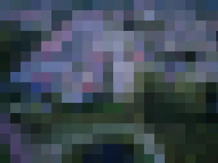 Siriusstraat 12 Borne thumbnail 32
