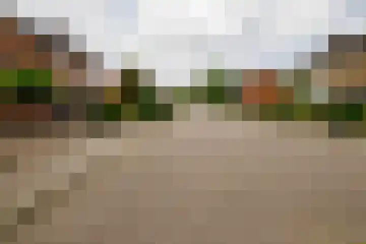 Siriusstraat 12 Borne thumbnail 33
