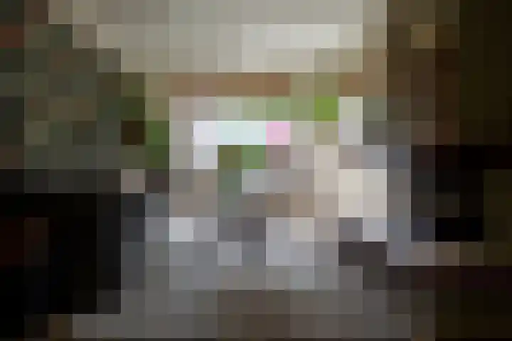 Siriusstraat 12 Borne thumbnail 4