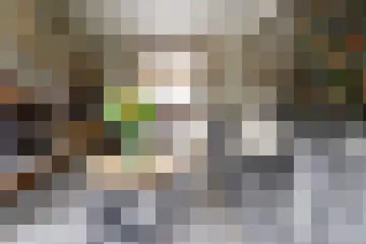 Siriusstraat 12 Borne thumbnail 5
