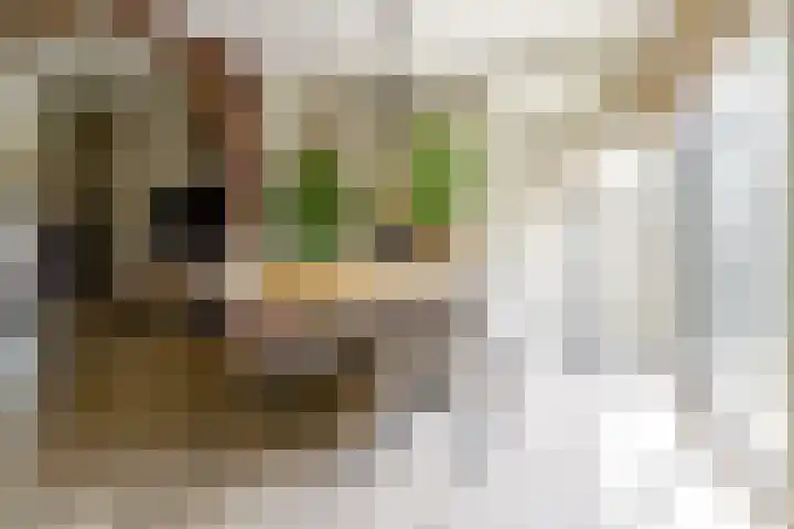 Siriusstraat 12 Borne thumbnail 8