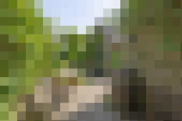 Siriusstraat 16 Hilversum thumbnail 38