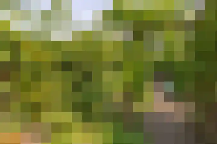 Siriusstraat 16 Hilversum thumbnail 39