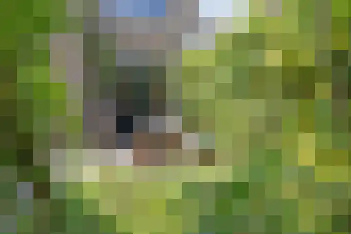 Siriusstraat 16 Hilversum thumbnail 43