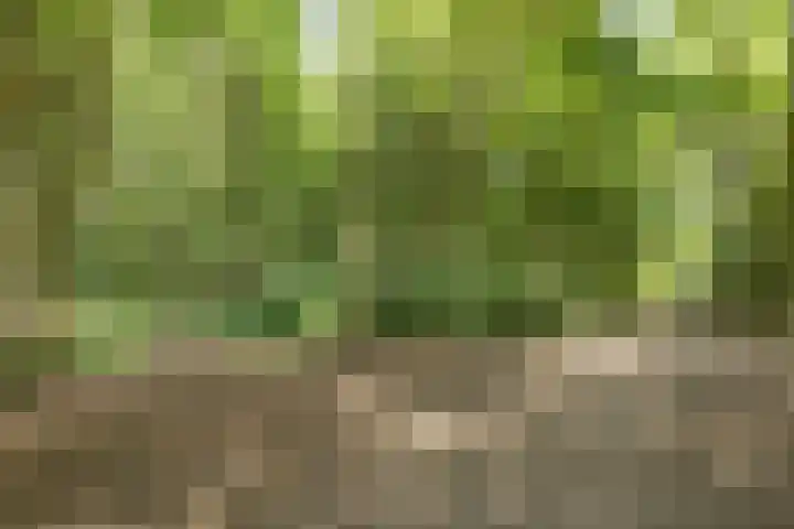 Siriusstraat 16 Hilversum thumbnail 45
