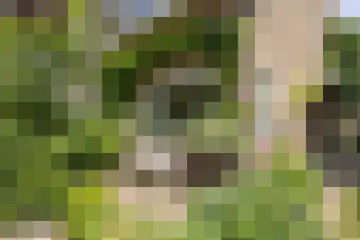 Siriusstraat 16 Hilversum thumbnail 5