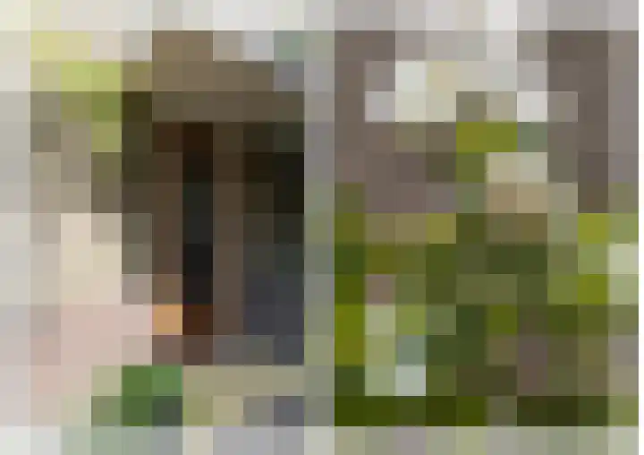 Siriusstraat 16 Hilversum thumbnail 6