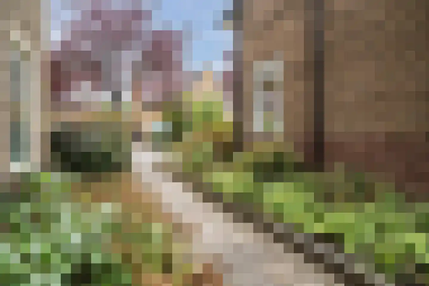 Siriusstraat 30 Hilversum thumbnail 12