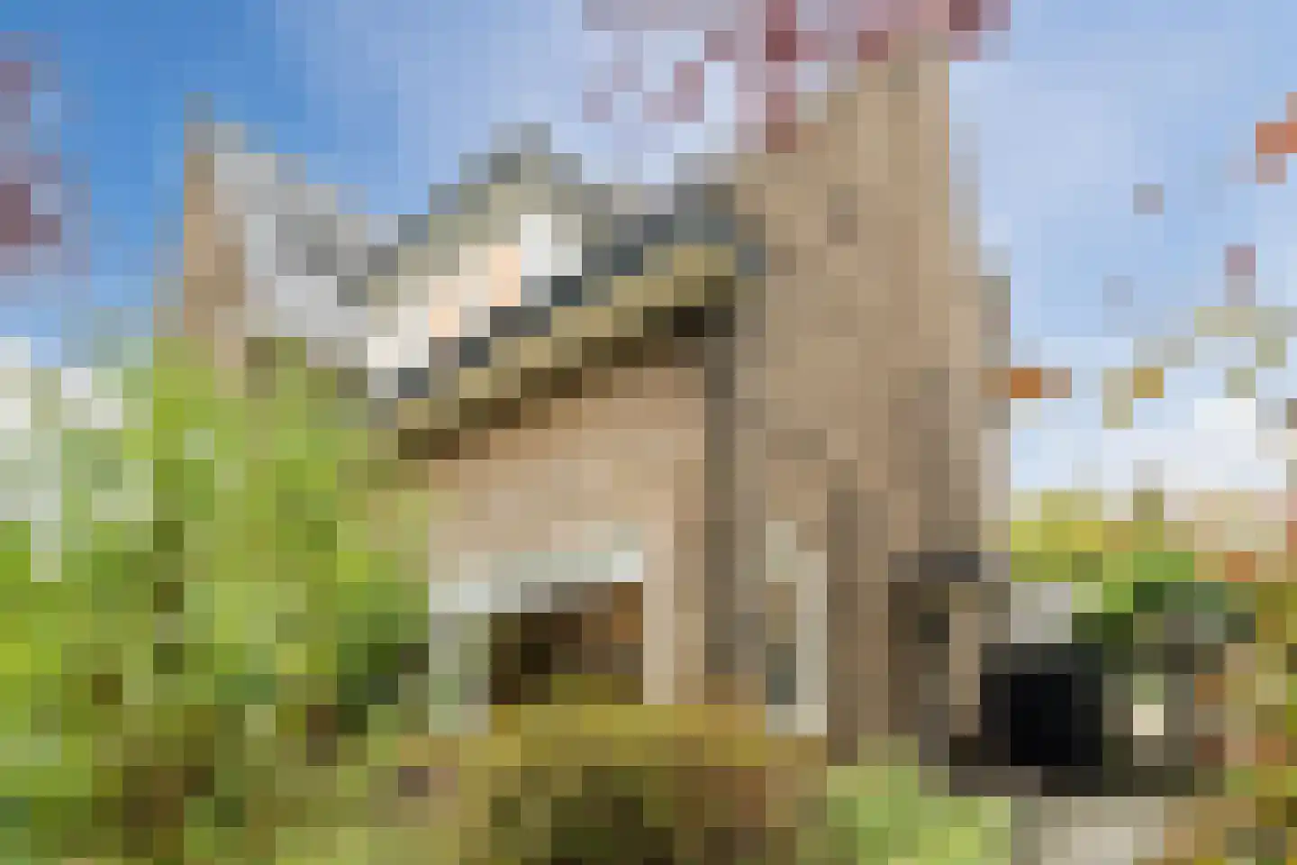 Siriusstraat 30 Hilversum thumbnail 5