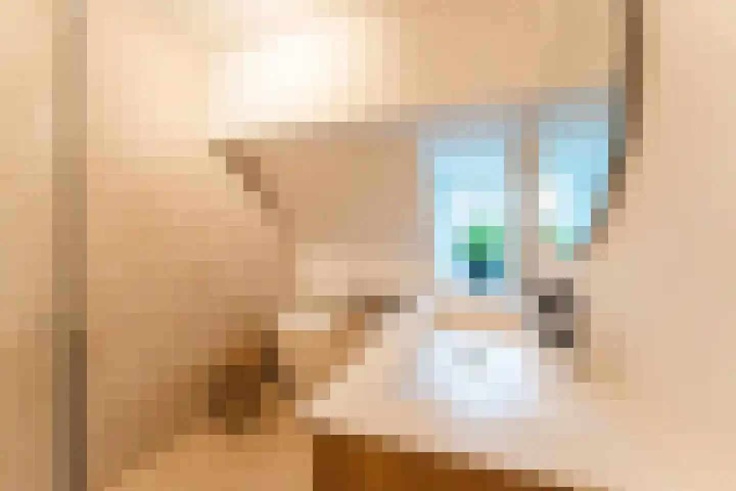 Siriusstraat 30 Hilversum thumbnail 54