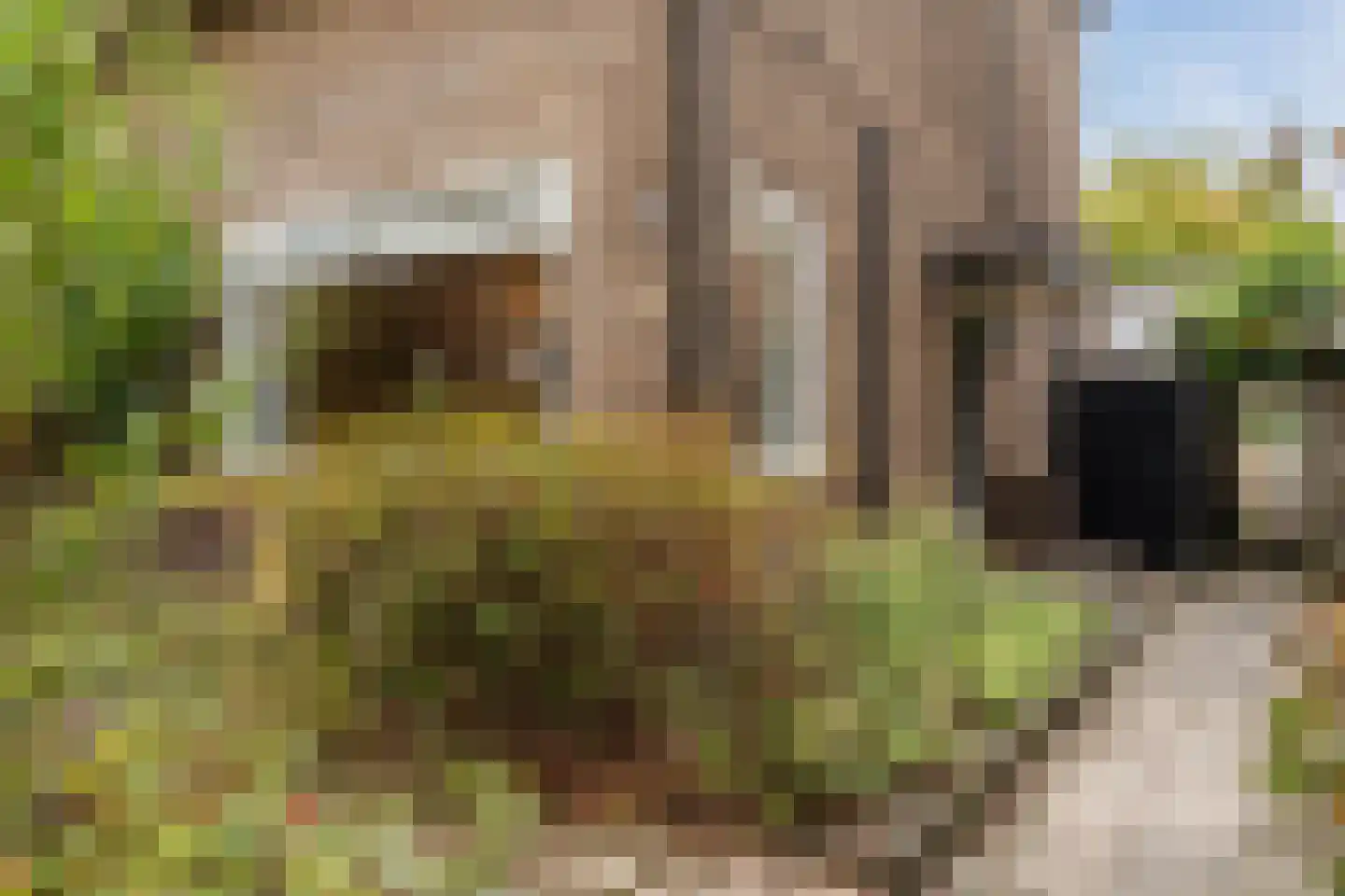 Siriusstraat 30 Hilversum thumbnail 6