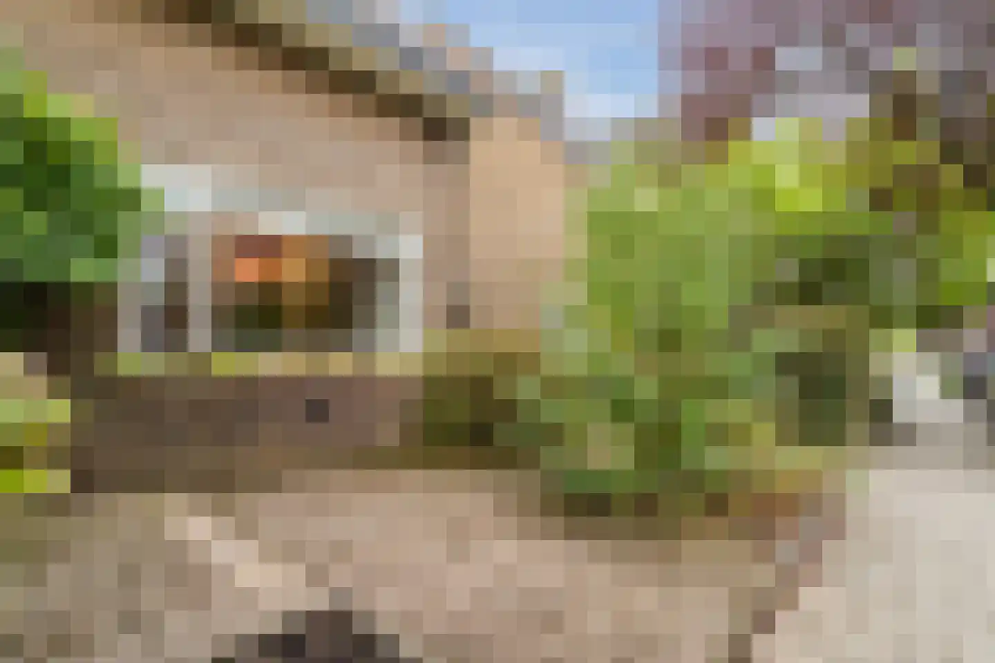 Siriusstraat 30 Hilversum thumbnail 9
