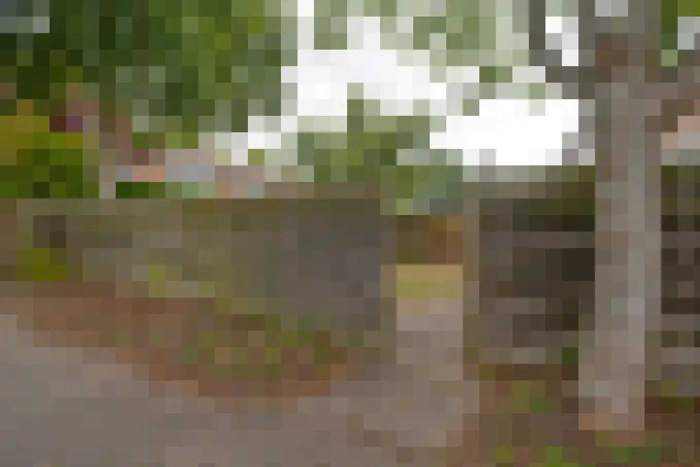 Siriusstraat 35 Groningen thumbnail 35