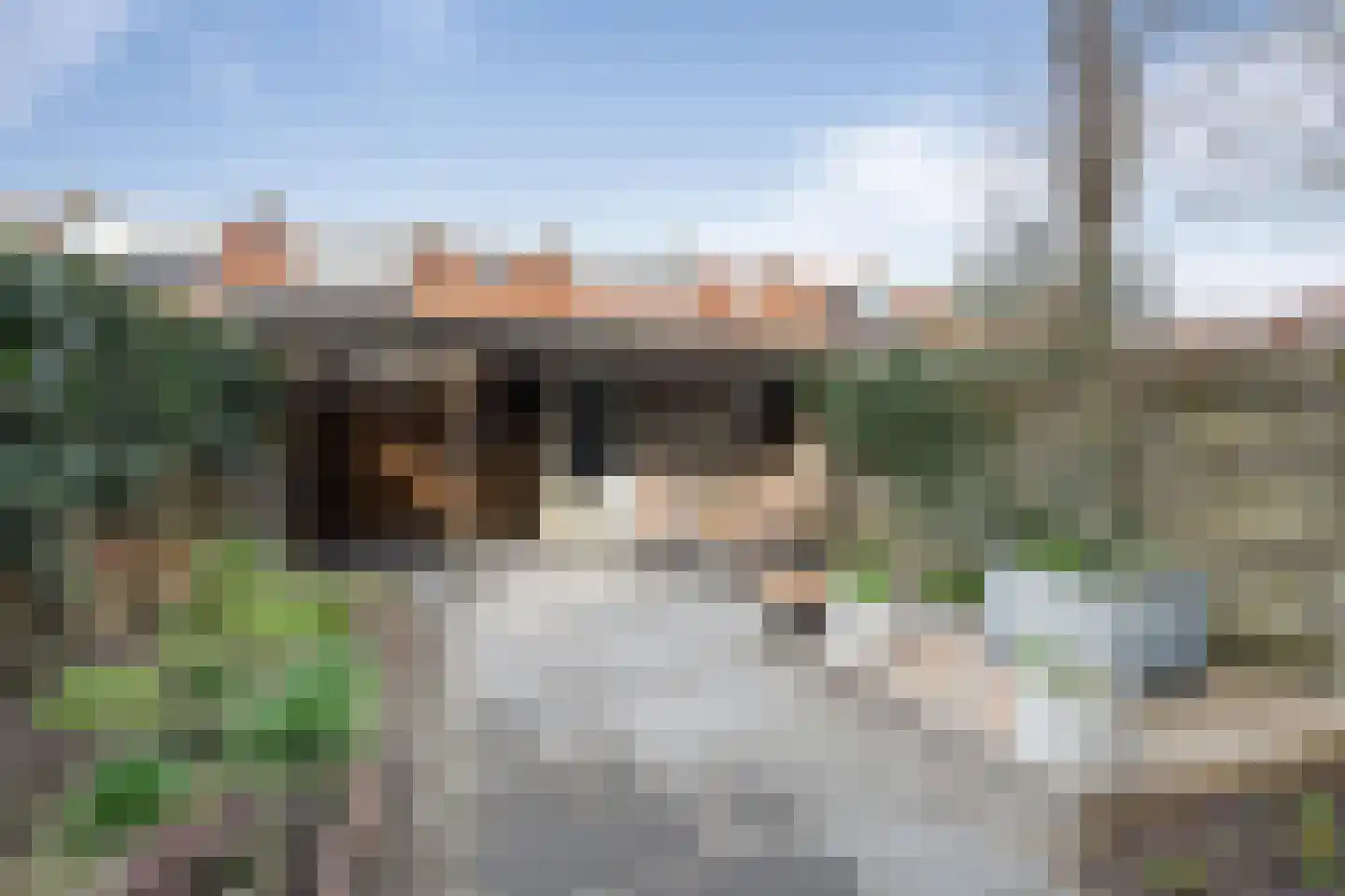 Siriusstraat 35 Haarlem thumbnail 15